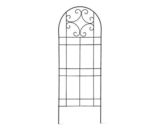 Belavi 
 Trellis
