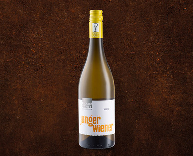 Junger Wiener 2018