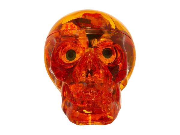 Halloween Candy Skull