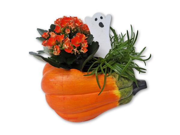 Sammenplantning i keramik