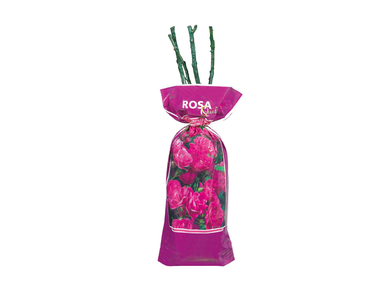 Assorted Roses1