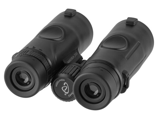Binoculars 10x42