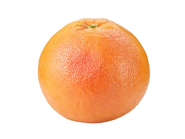 Grepy