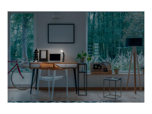 Livarno Home LED Desk Lamp