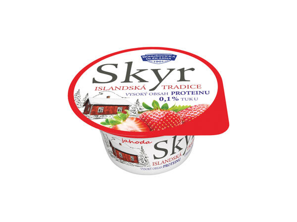 SKYR OCHUCENÝ