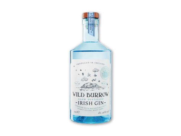 Wild Burrow gin