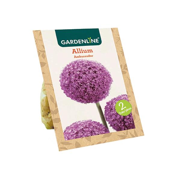 GARDENLINE(R) 				Blumenzwiebeln Zierlauch
