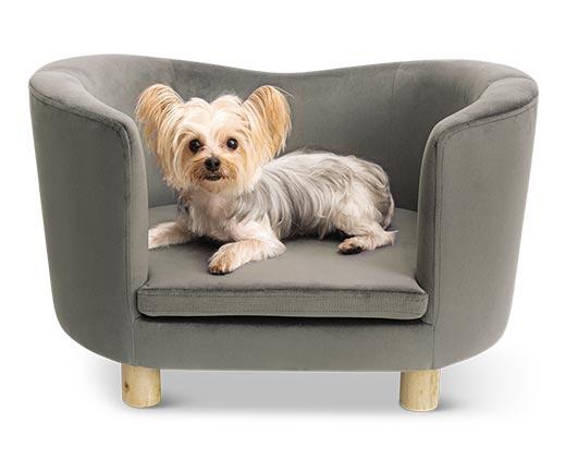 Heart to Tail
Luxury Pet Sofa