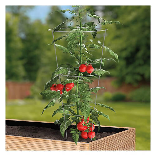 42" x 14" Tomato Cage