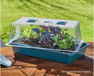 Seed and Cutting Greenhouse