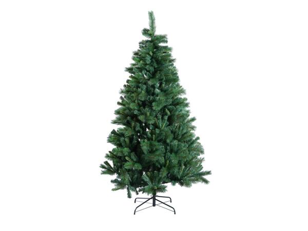 Christmas Tree, 210cm