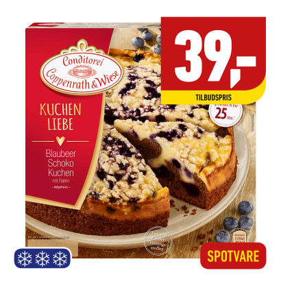 Blåbærchokoladekage