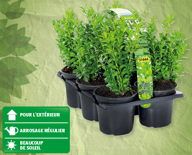 Buis GARDENLINE(R)