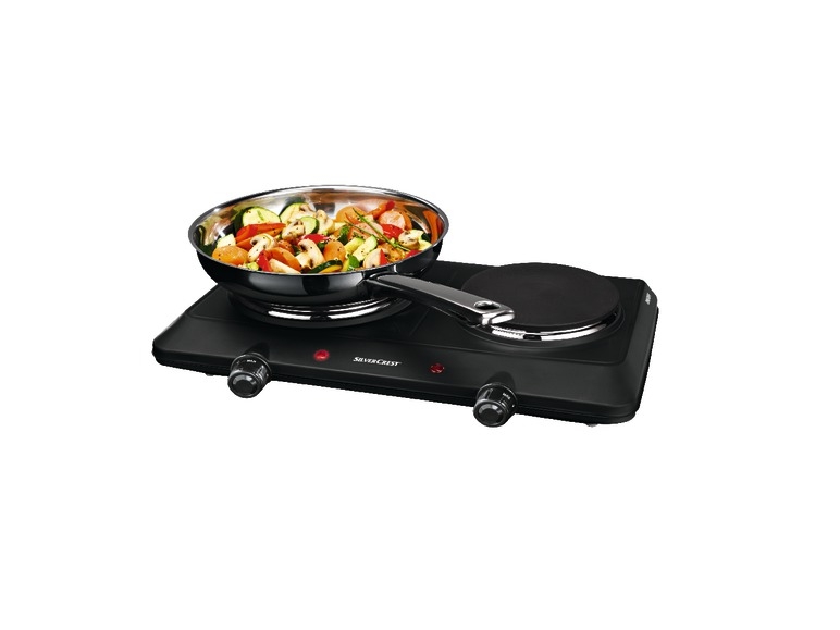 Dual Hotplate
