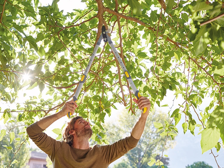 FLORABEST Extendable Loppers