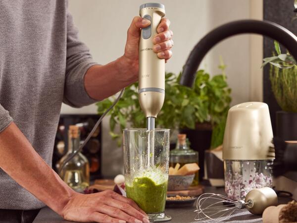 600W Hand Blender Set