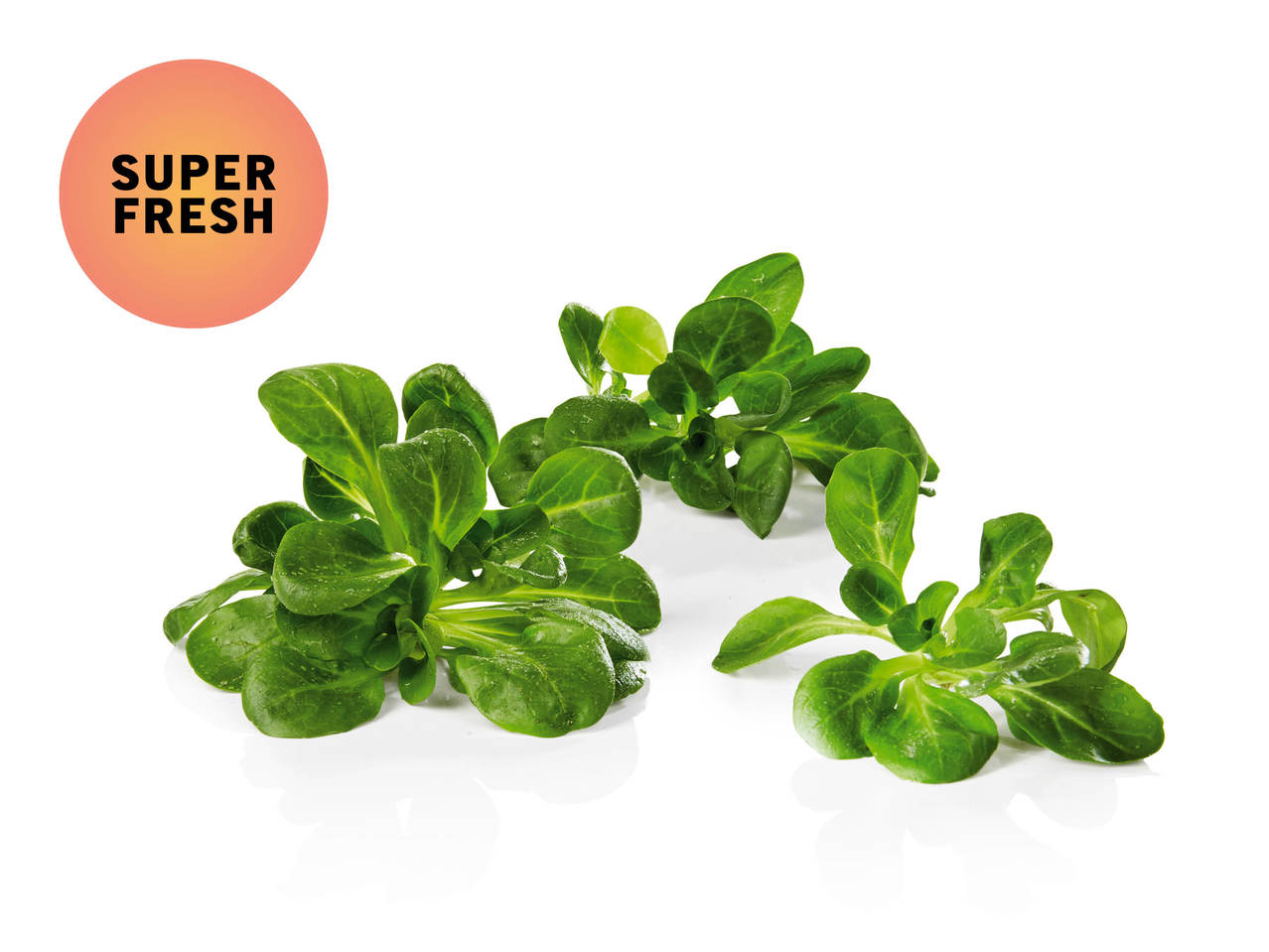 Bio Nüsslisalat