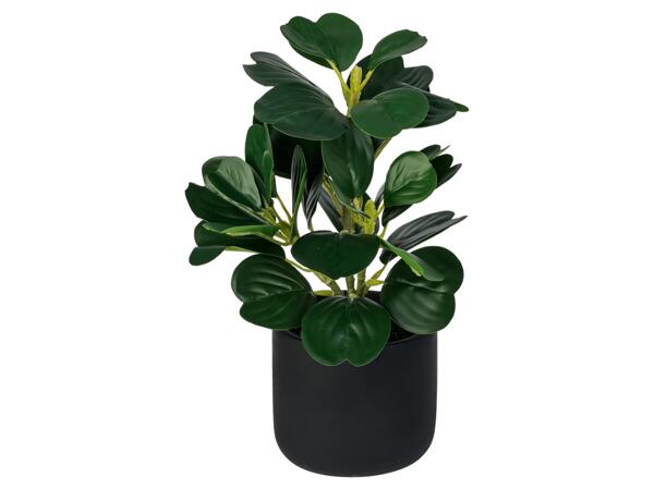 Artificial Plant