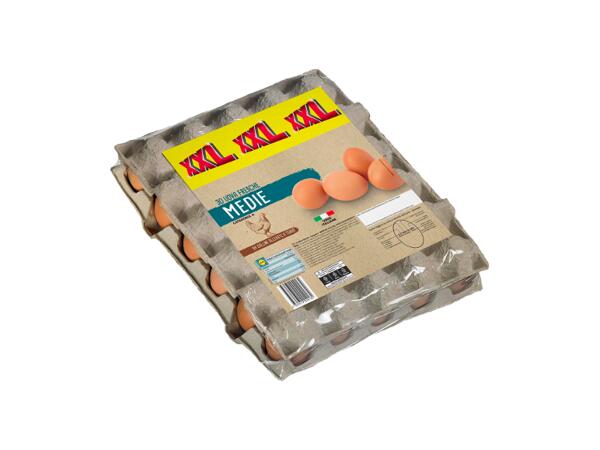 30 Fresh Medium Eggs XXL