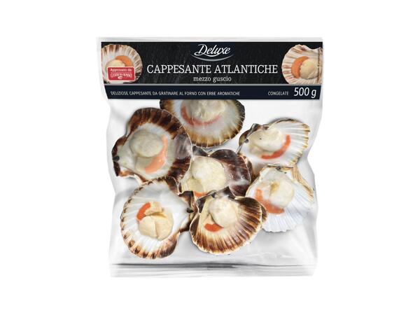 Shelled Atlantic Scallops
