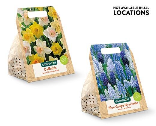 Gardenline Fall Bulbs Assorted Varieties