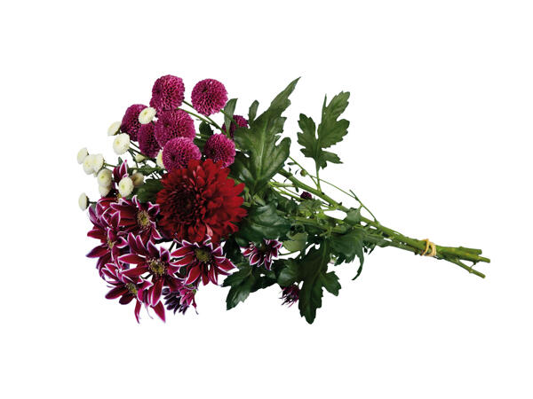 Chrysantemenstrauß