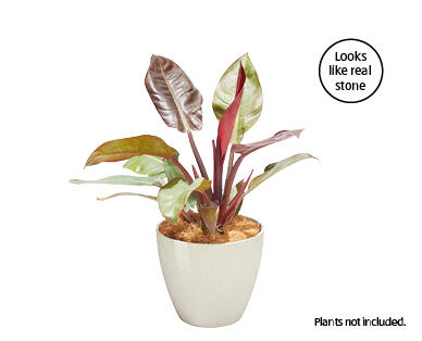Mini Stonelite Pot