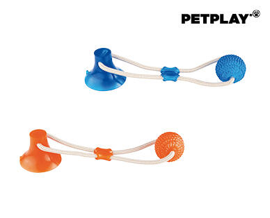 Active Pet Toy Assortment