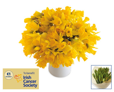 Daffodil Day Bumper Bouquet†