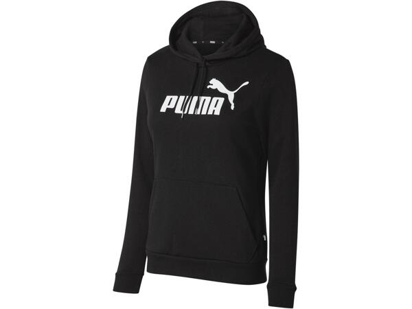 Ladies' Hoodie