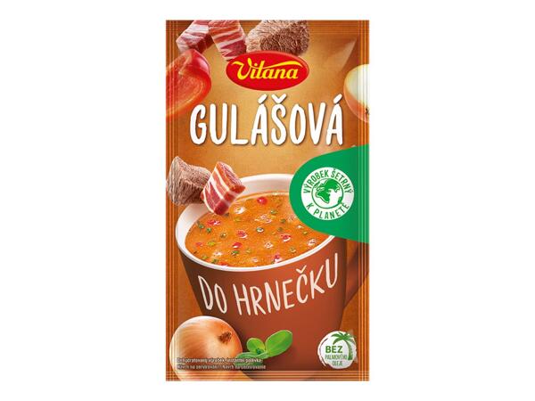 VITANA POLÉVKA DO HRNEČKU