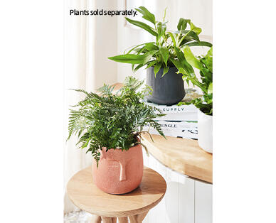 Small Ceramic Pot