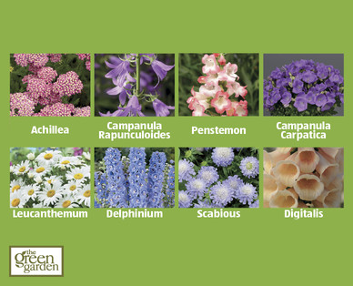 Perennials