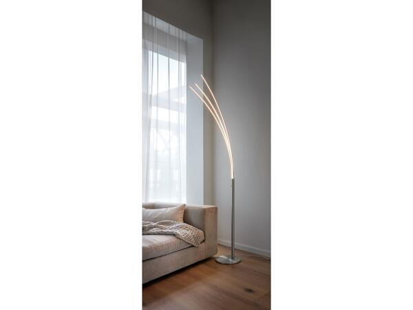 LED curve light