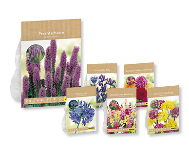 Bulbi di fiori