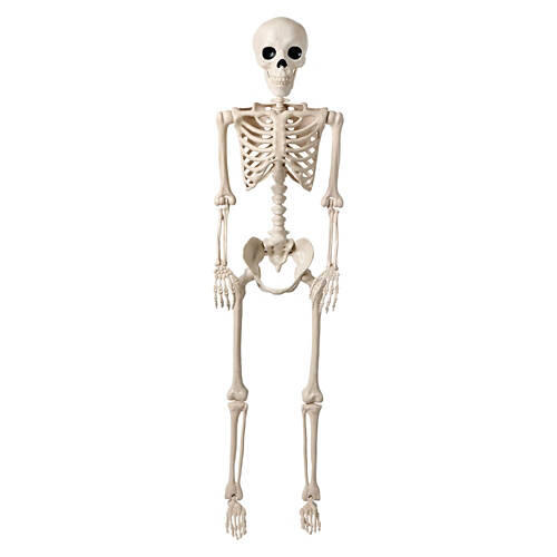 5' Tall Posable Skeleton, Bone Color
