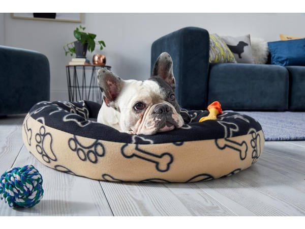 Dog Bed