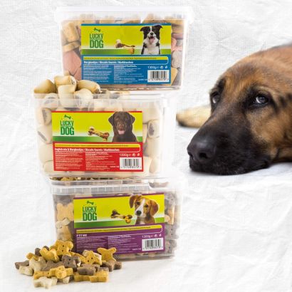 Biscuits pour chiens
