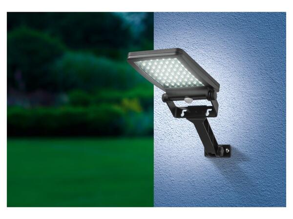 LED Solar Light with Motion Detector