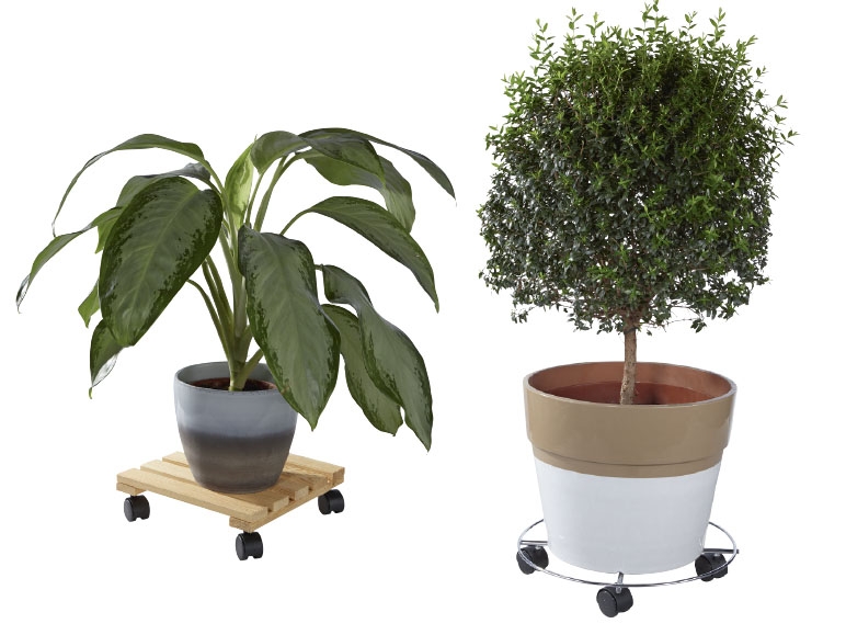 LIVARNO Plant Roller