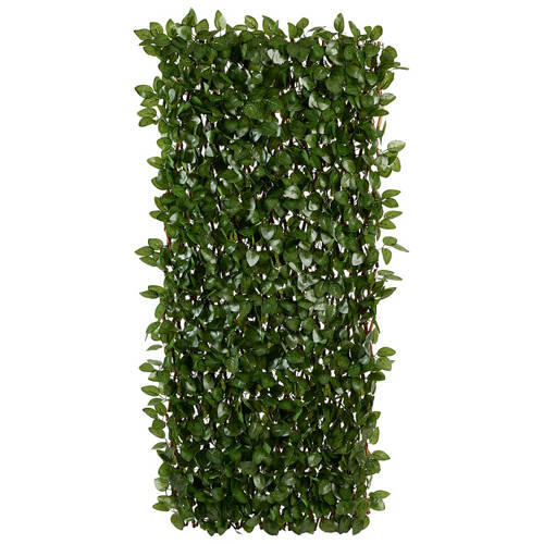 Solar Leaf Trellis Assorted