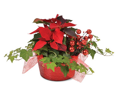 Poinsettia Centerpiece