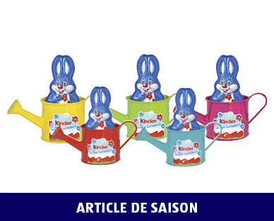 KINDER 
 LAPIN HARRY KINDER ARROSOIR 55 G