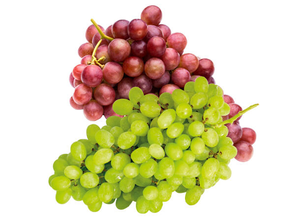 Trauben mix kernlos