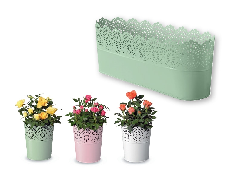 FLORABEST Planter/Planter Set