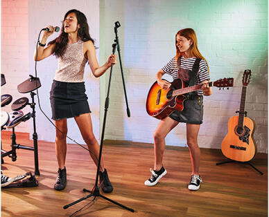 Microphone, Microphone Stand or Guitar Stand