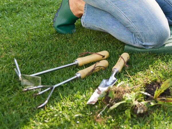 Small Garden Hand Tools