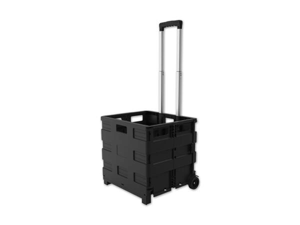 Transportbox