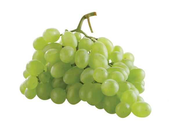 Grønne vindruer Italia