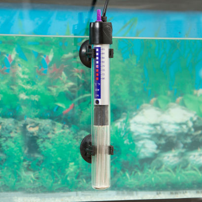 Aquarium